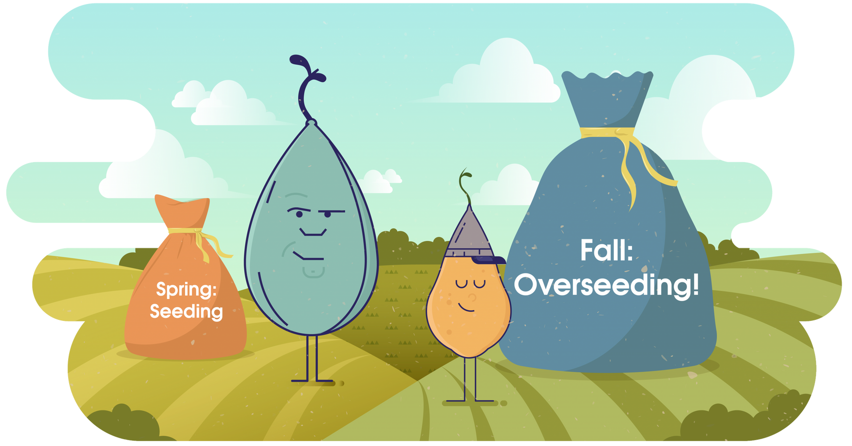 Overseeding: 3 Grass Seed Options to Keep Lawns Green This Winter