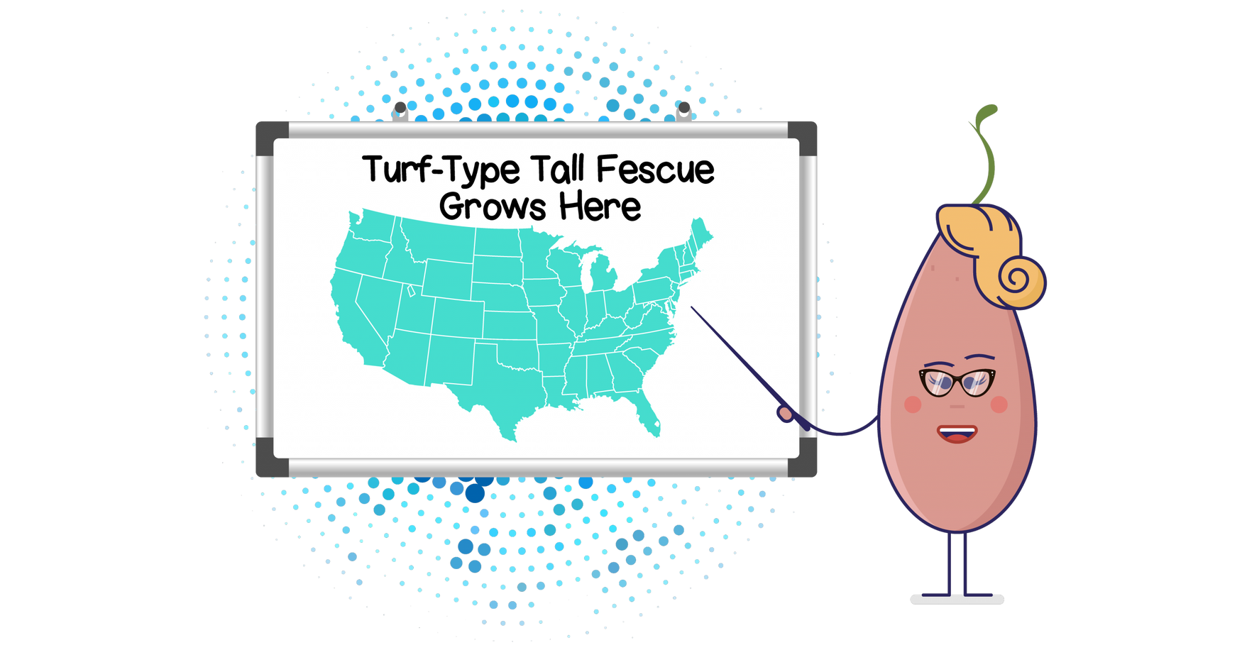 Turf Type Tall Fescue: The Hardy Seed That Will Settle on Nearly Any Lawn in America