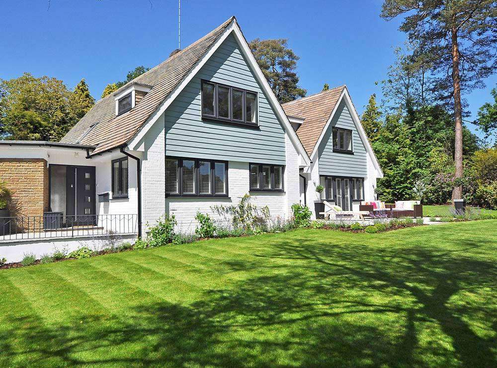 The Best Fall & Winter Lawn Alternatives