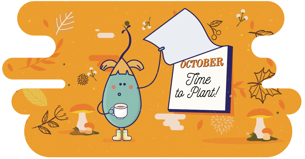 October is High Time for Lawn Seeding—Best Blends for Midwest, Northeast and Central States!