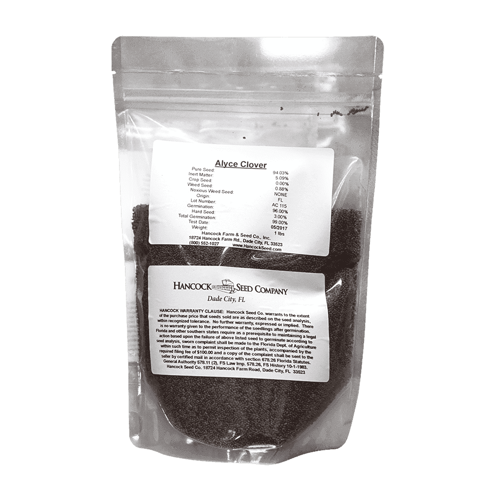Alyce Clover Seed - Coated
