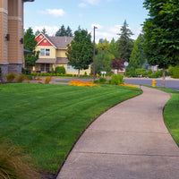 Hancock's Sun & Shade Grass Seed Mix