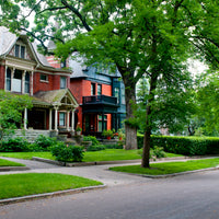 Hancock's Sun & Shade Grass Seed Mix