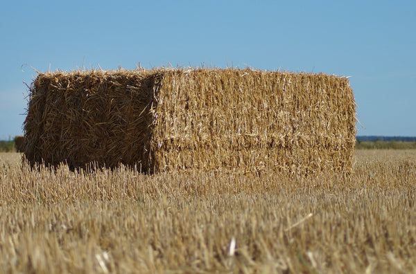 Square Bale Straw Rye