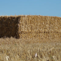 Square Bale Straw Rye