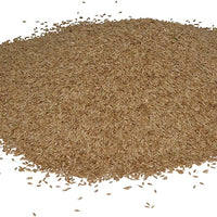 Hancock's Common Bermuda Grass Seed - Raw & Unhulled