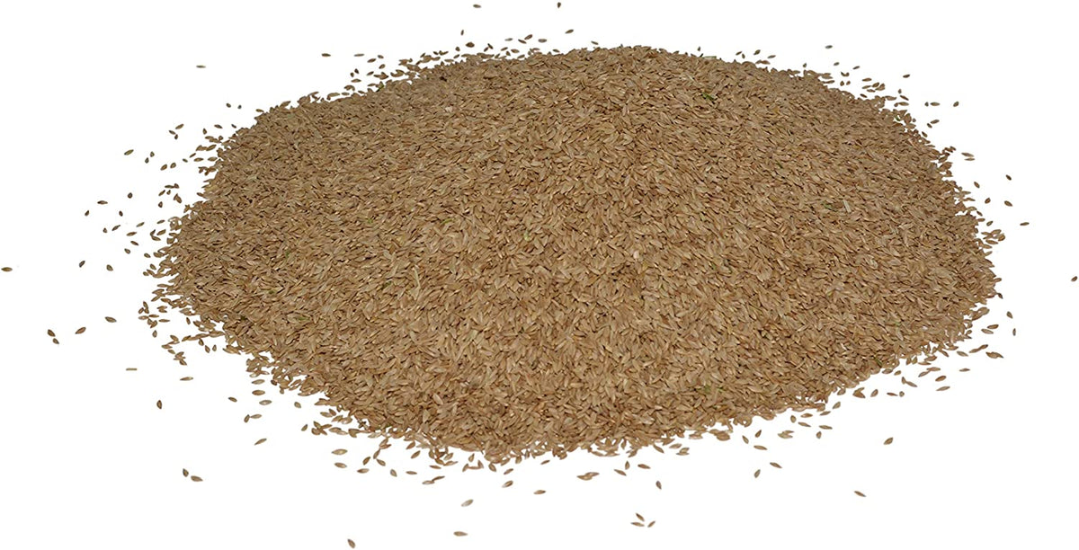 Unhulled Bermuda Grass Seed For Sale | Hancock Seed