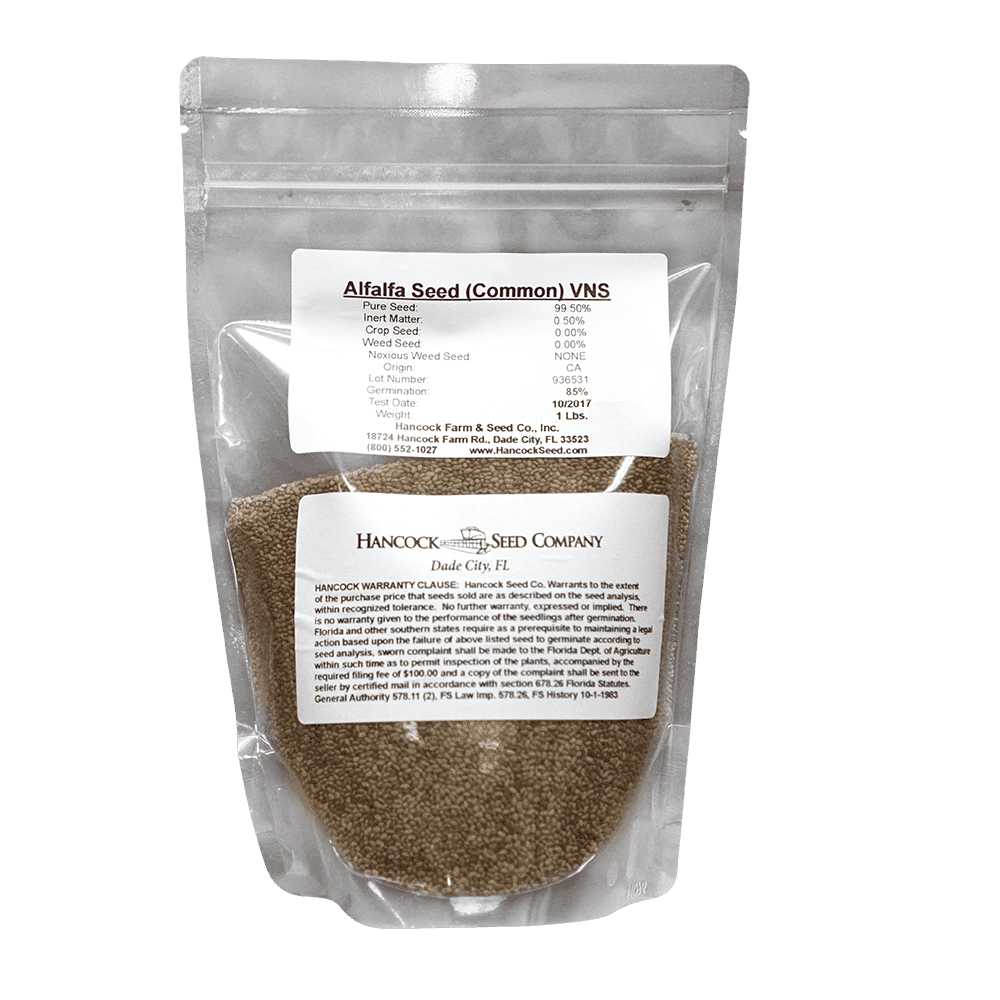Alfalfa Seed - Coated