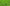 Apache Arrowleaf Clover Seed (Pre-Order)
