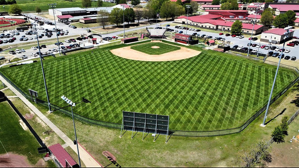 Royal TXD Bermuda Grass Seed