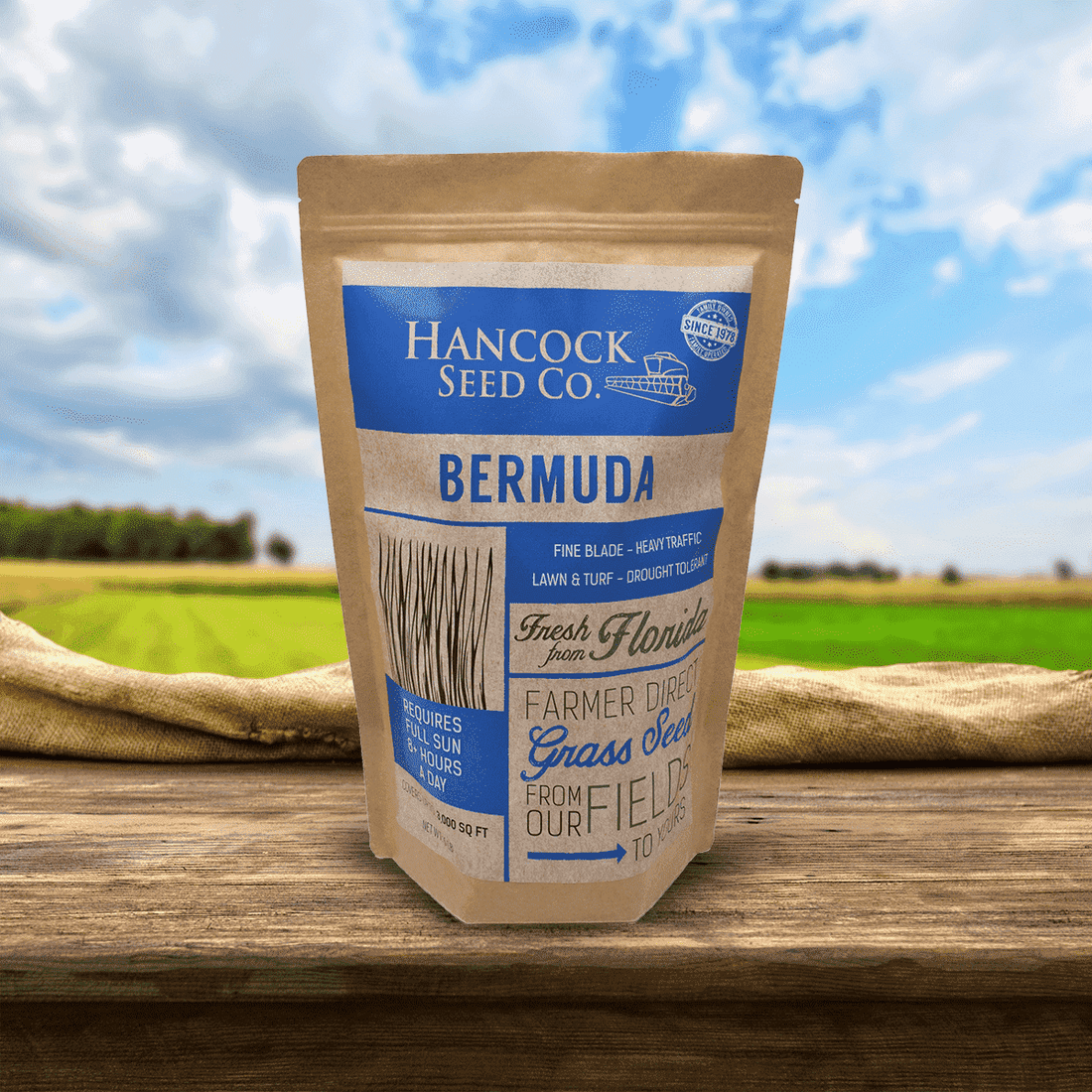 Hancock's Common Bermuda Spring & Summer Grass Seed Mix