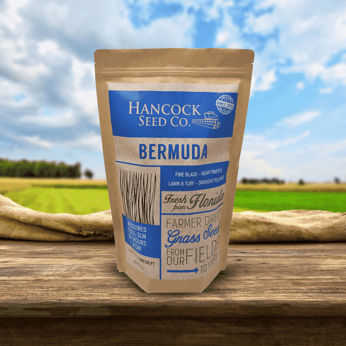 plant bermuda seed in summer Hancock's Common Bermuda Spring & Summer Grass Seed Mix