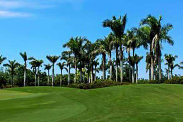 Bimini Bermuda Lawn Plugs