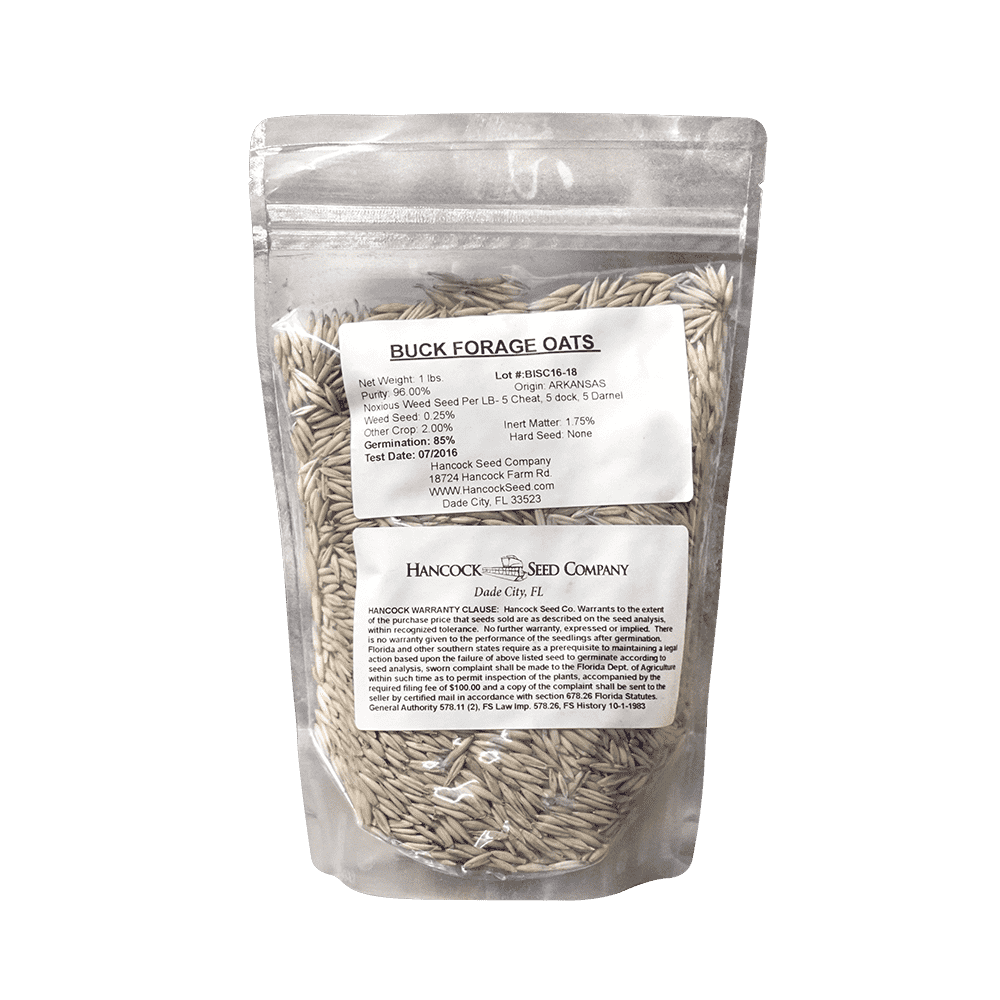 Oat Seed for Planting - Bulk Pack