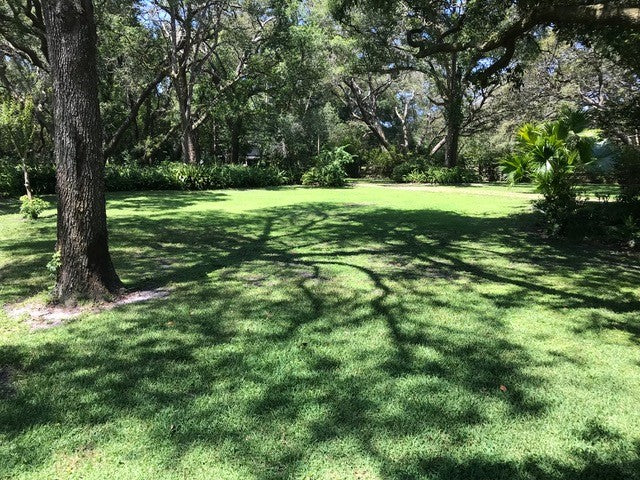 Hancock's Centipede Grass Seed - Coated