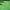 Chewings Fescue Grass Seed (Pre-Order)