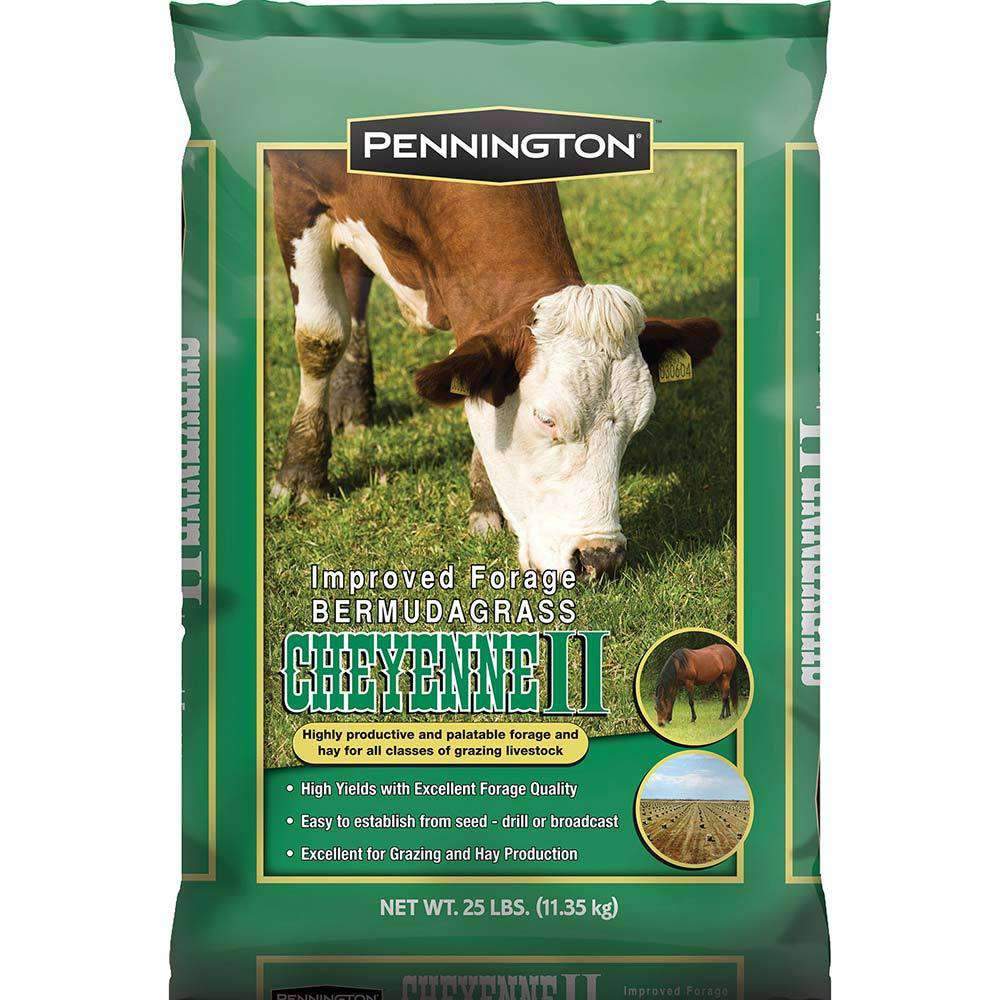 Cheyenne II Bermuda Grass Seed - Certified (Pre-Order)