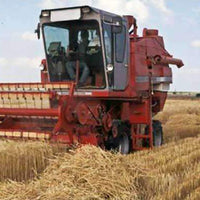 Coker 227 Oat Seed (Pre-Order)