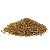 Compadre Zoysia Grass Seed