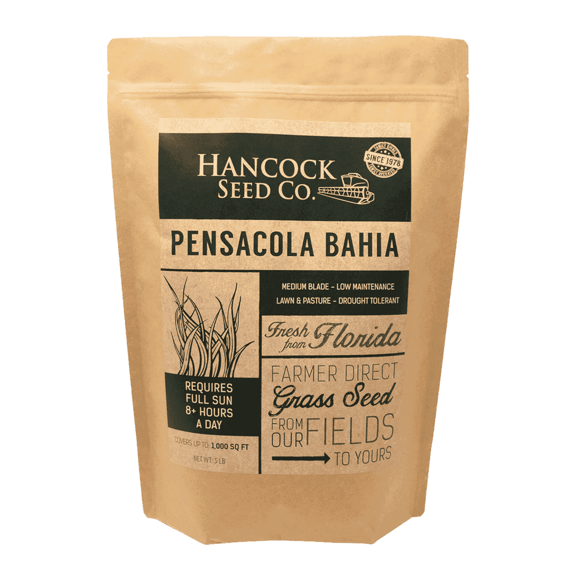 Hancock's Pensacola Bahia Grass Seed - Coated