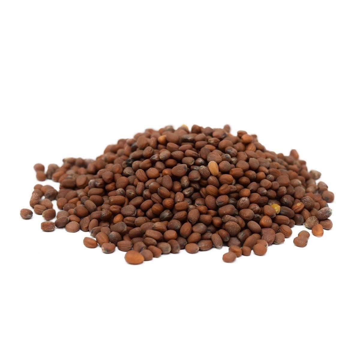 radish flower seeds Daikon Radish Seed – Hancock Seed