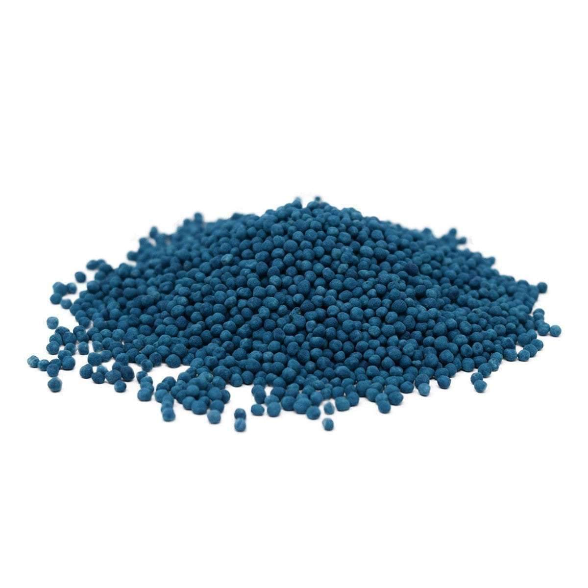 planting dichondra seeds Dichondra Seed