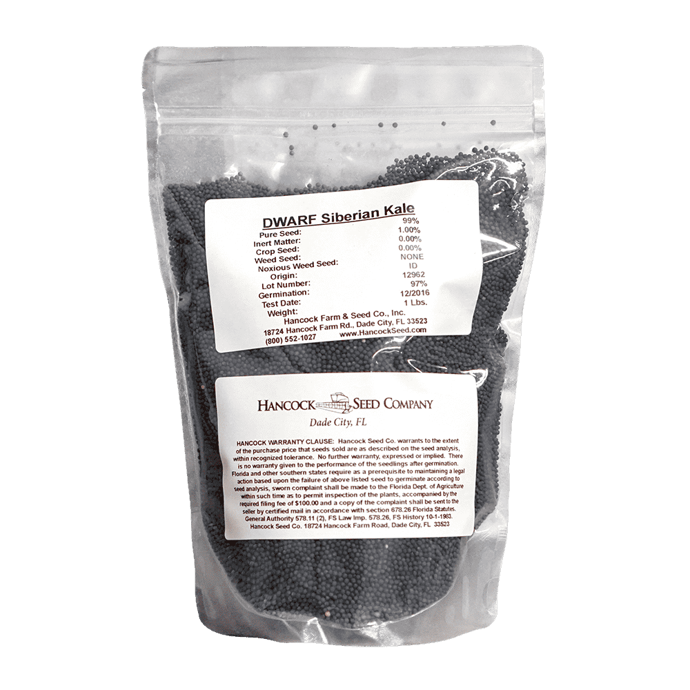 Siberian Kale Seed