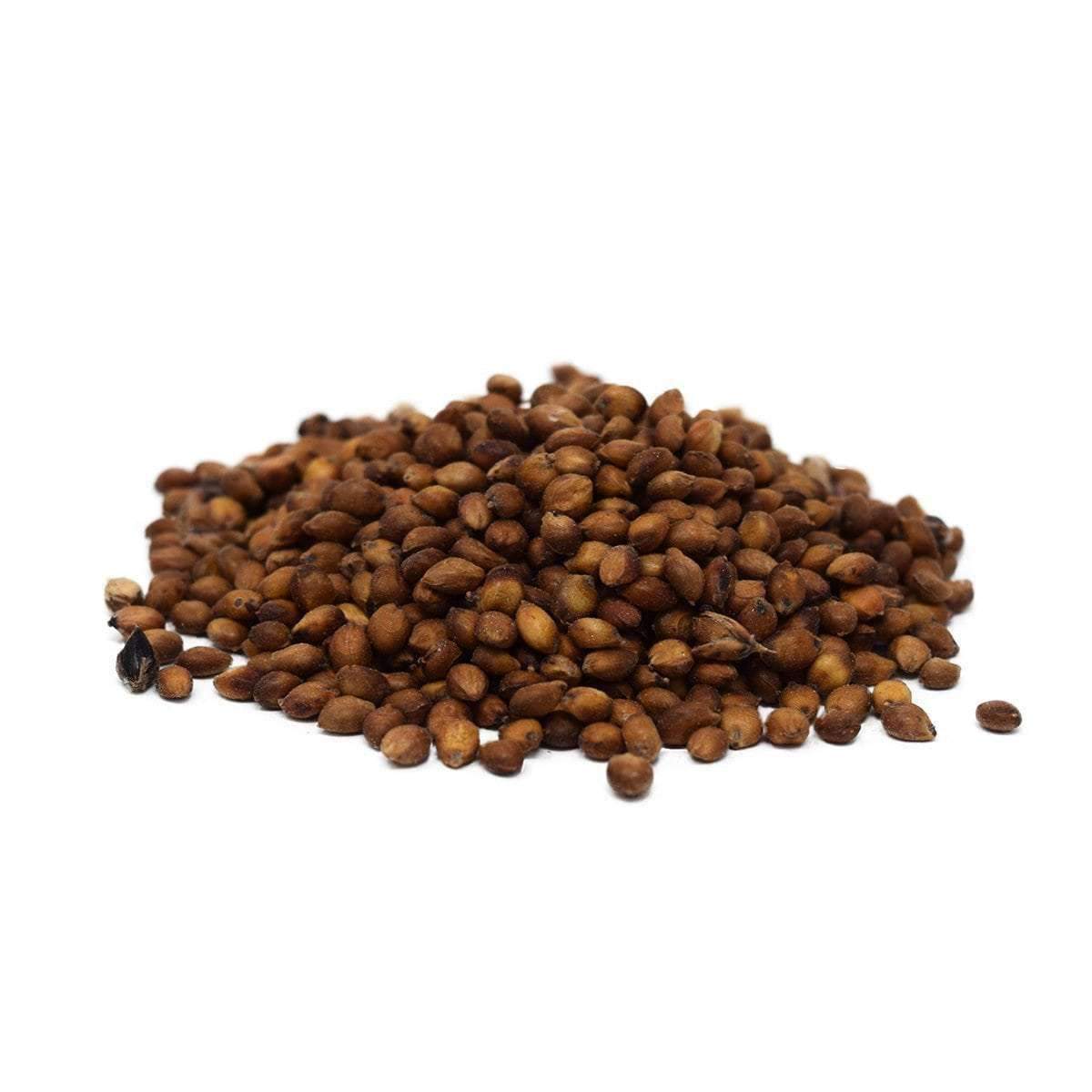 herbicide for egyptian wheat Egyptian Wheat Seed – Hancock Seed