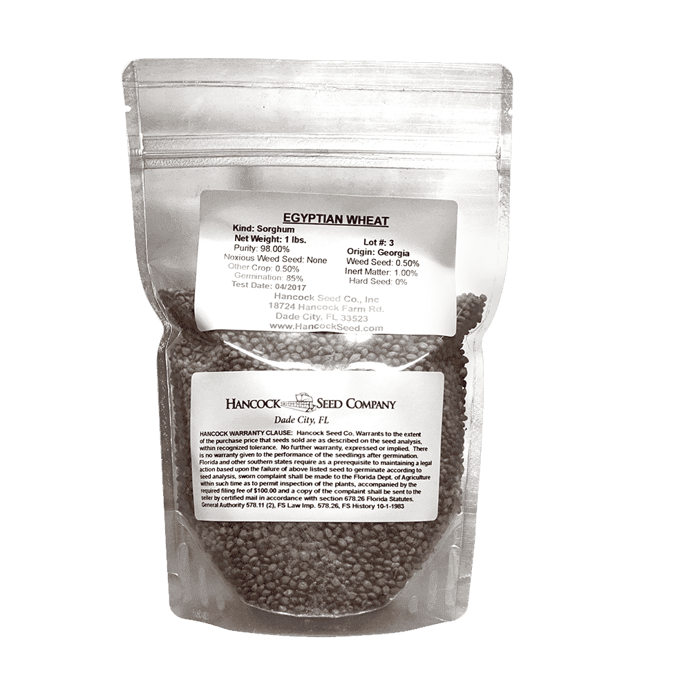 herbicide for egyptian wheat Egyptian Wheat Seed