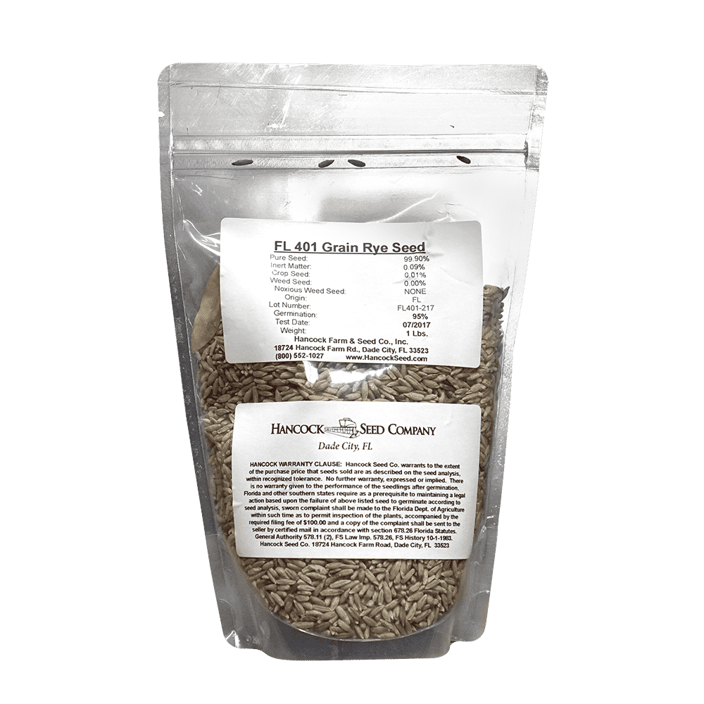 rye seeds for planting Florida 401 Grain Rye Seed – Hancock Seed
