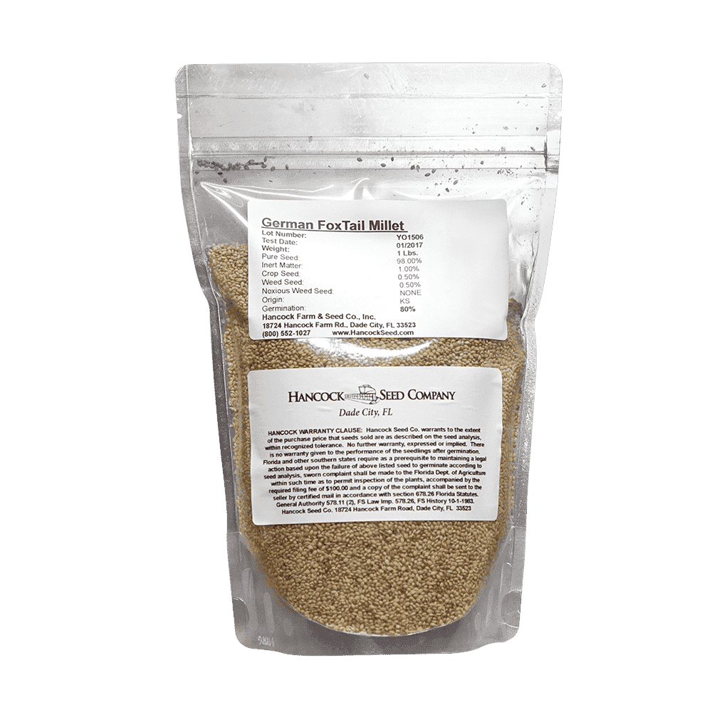 German Foxtail Millet Seed – Hancock Seed
