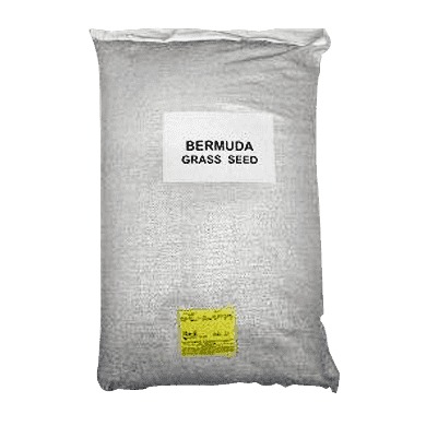 Giant Bermuda Grass Seed - Raw & Hulled