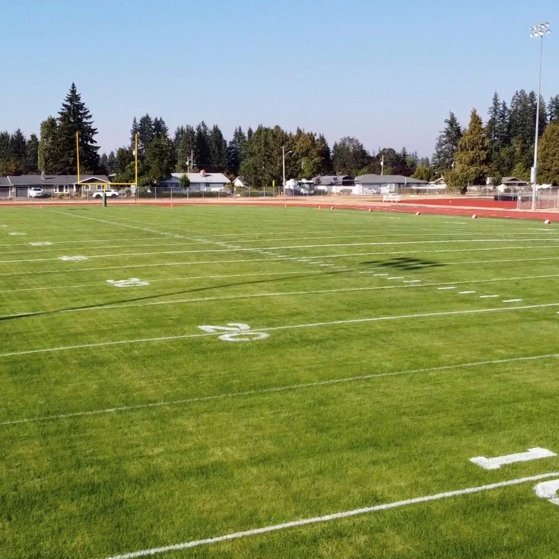 Hancock's Perennial Ryegrass Seed