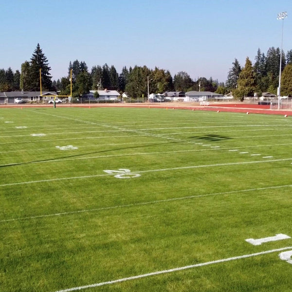 Hancock's Perennial Ryegrass Seed