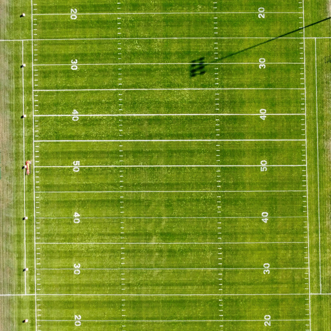 Hancock's Perennial Ryegrass Seed