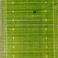 Hancock's Perennial Ryegrass Seed