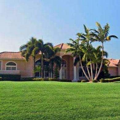 argentine bahia grass seed lowes Coated Argentine Bahia Grass Seed Bulk