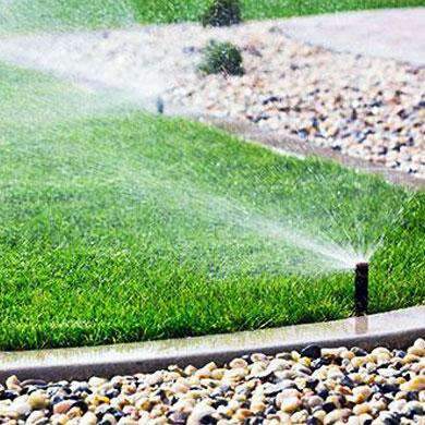 Hancock's Highlander Turf Bermuda Grass Seed - Hulled & Coated