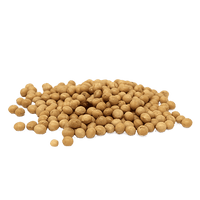 Soybean Seed