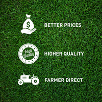 Hancock's Deer Greens Seed Mix