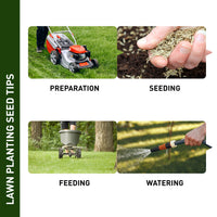 Hancock's Centipede Grass Seed - Coated