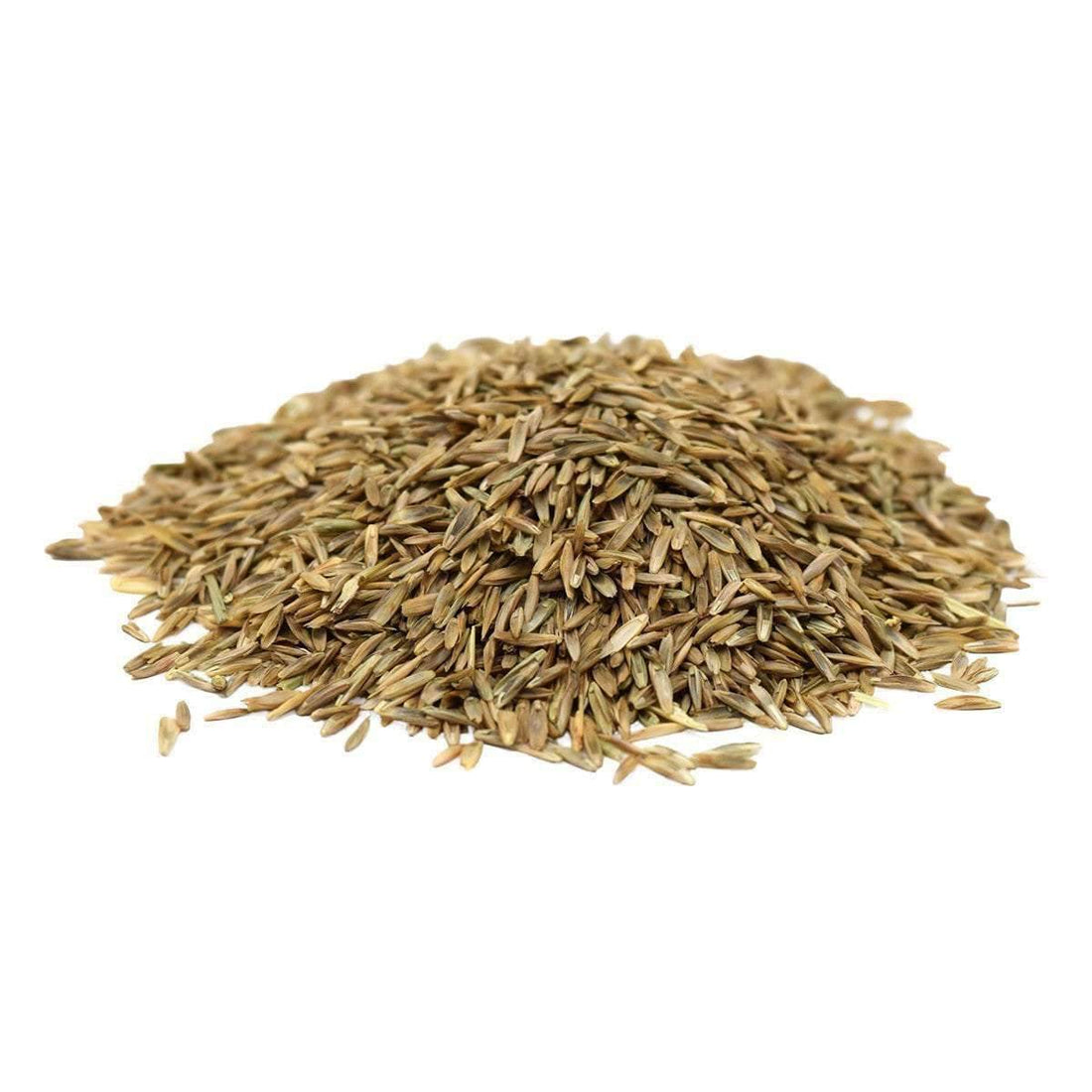 Hancock's Perennial Ryegrass Seed