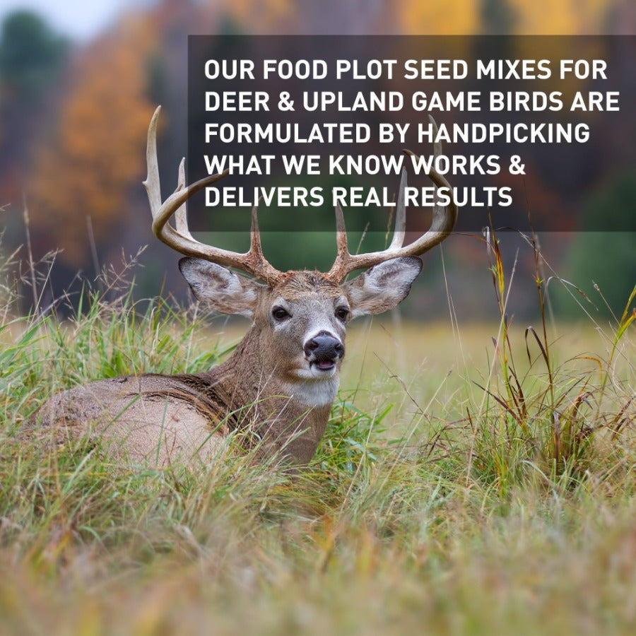 Hancock's Spring & Summer Food Plot Seed Mix