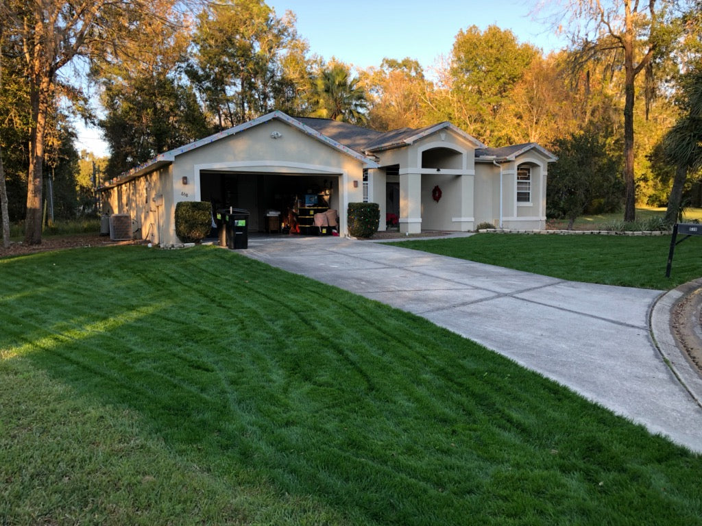 Hancock's Perennial Ryegrass Seed