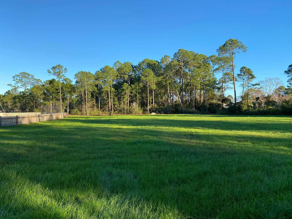Hancock's Pensacola Bahia Fall & Winter Grass Seed Mix