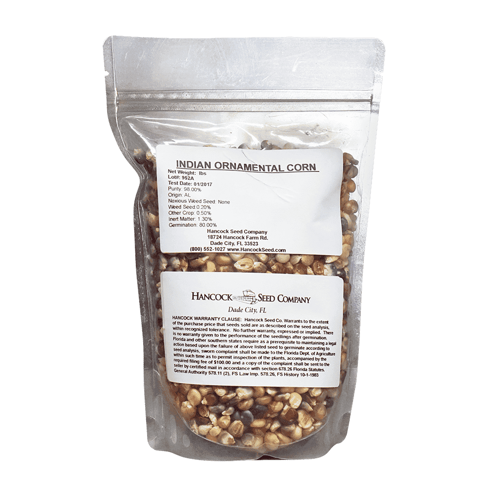 Indian Corn Seed - Certified Non-GMO