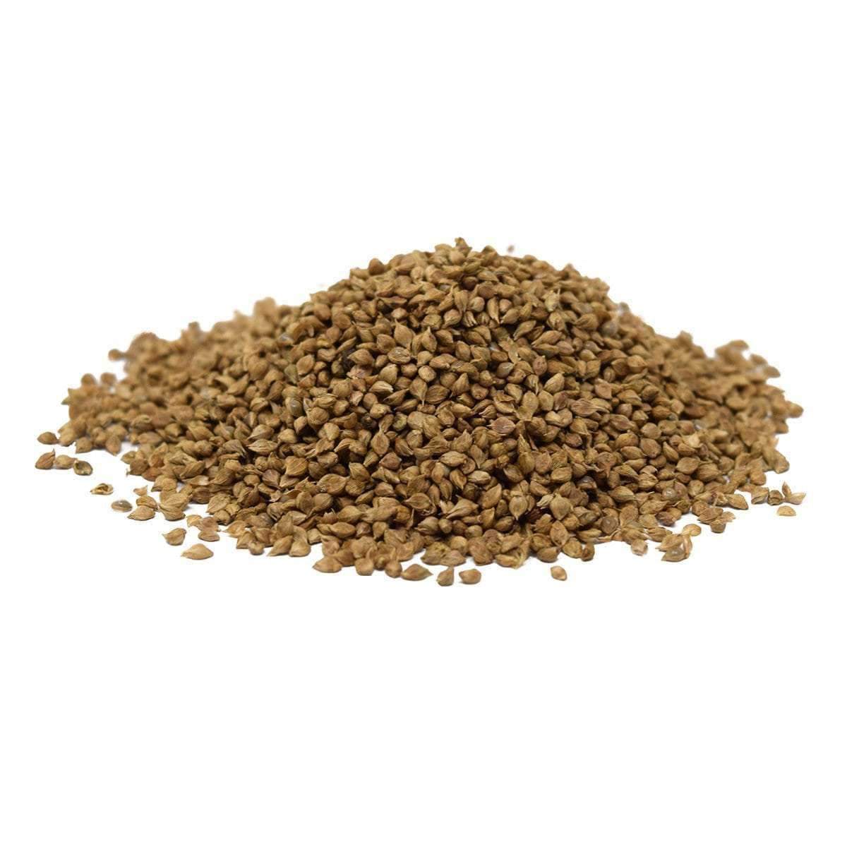 millet seed planting depth Japanese Millet Seed