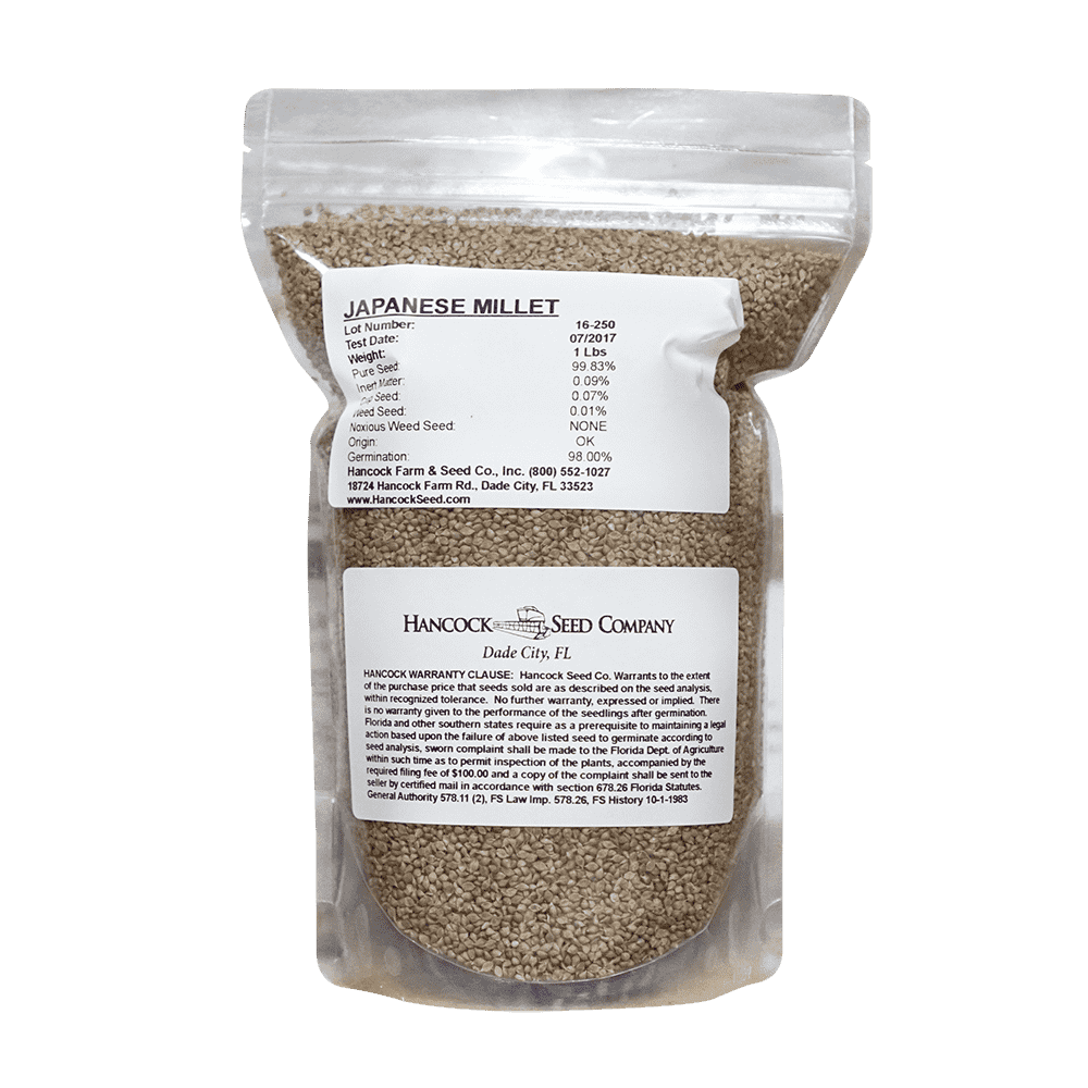 millet seed planting depth Japanese Millet Seed