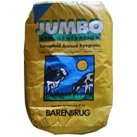 Jumbo Annual Ryegrass Seed