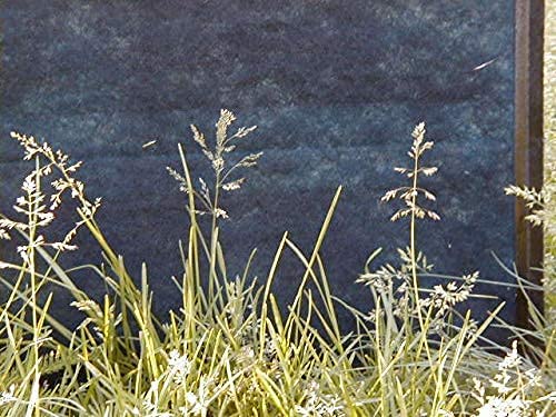 Hancock's Forage Kentucky Bluegrass Seed